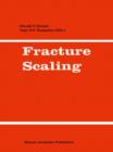 Image for Fracture Scaling