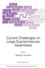 Image for Current Challenges on Large Supramolecular Assemblies