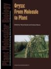 Image for Oryza: From Molecule to Plant