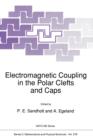 Image for Electromagnetic Coupling in the Polar Clefts and Caps