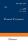 Image for Unsteady Combustion