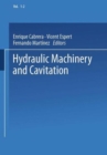 Image for Hydraulic Machinery and Cavitation : Proceedings of the XVIII IAHR Symposium on Hydraulic Machinery and Cavitation