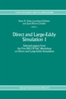 Image for Direct and Large-Eddy Simulation I: Selected papers from the First ERCOFTAC Workshop on Direct and Large-Eddy Simulation