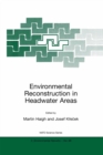 Image for Environmental reconstruction in headwater areas
