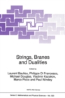 Image for Strings, branes and dualities