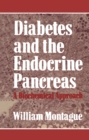 Image for Diabetes and the Endocrine Pancreas: A Biochemical Approach