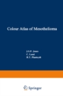 Image for Colour Atlas of Mesothelioma: Prepared for the Commission of the European Communities, Directorate-General Employment, Social Affairs and Education, Industrial Medicine and Hygiene Division