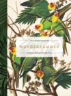 Image for Wunderkammer : An Exotic Journey Through Time