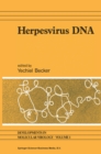 Image for Herpesvirus DNA: recent studies on the organization of viral genomes, MRNA transcription, DNA replication, defective DNA, and viral DNA sequences in transformed cells and bacterial plasmids