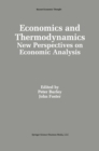 Image for Economics and thermodynamics: new perspectives on economic analysis