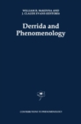 Image for Derrida and Phenomenology : v.20