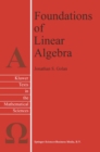 Image for Foundations of Linear Algebra : 11