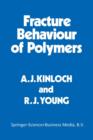 Image for Fracture Behaviour of Polymers