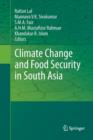 Image for Climate Change and Food Security in South Asia