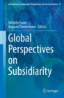 Image for Global perspectives on subsidiarity
