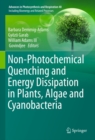 Image for Non-Photochemical Quenching and Energy Dissipation in Plants, Algae and Cyanobacteria