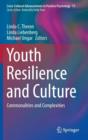 Image for Youth resilience and culture  : commonalities and complexities