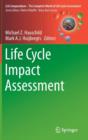 Image for Life cycle impact assessment