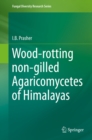 Image for Wood-rotting non-gilled Agaricomycetes of Himalayas