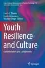 Image for Youth Resilience and Culture : Commonalities and Complexities