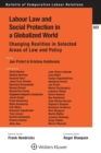 Image for Labour Law and Social Protection in a Globalized World : Changing Realities in Selected Areas of Law and Policy