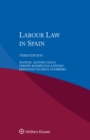 Image for Labour Law in Spain