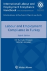 Image for Labour and Employment Compliance in Turkey