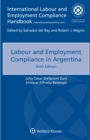 Image for Labour and Employment Compliance in Argentina