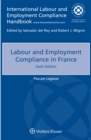Image for Labour and Employment Compliance in France