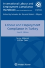 Image for Labour and Employment Compliance in Turkey