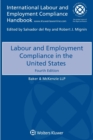 Image for Labour and Employment Compliance in the United States