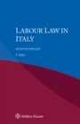 Image for Labour Law In Italy