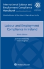 Image for Labour and Employment Compliance in Ireland