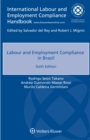 Image for Labour and Employment Compliance in Brazil
