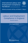 Image for Labour and employment compliance in England