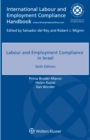 Image for Labour and Employment Compliance in Israel