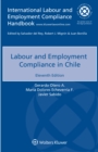 Image for Labour and Employment Compliance in Chile