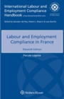 Image for Labour and Employment Compliance in France