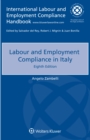 Image for Labour and Employment Compliance in Italy