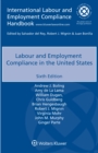 Image for Labour And Employment Compliance In The United States