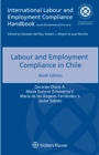 Image for Labour and Employment Compliance in Chile