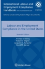 Image for Labour and Employment Compliance in the United States