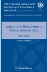 Image for Labour and Employment Compliance in Italy
