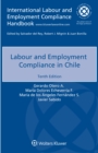 Image for Labour and Employment Compliance in Chile