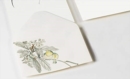Image for Japanese Art : Envelopes (C6)