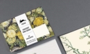 Image for Vincent van Gogh : Envelopes (C6)