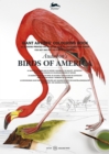 Image for Audubon&#39;s Birds of America : Giant Artists&#39; Colouring Book