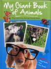 Image for Big Book of Animals Baby Farm Pets