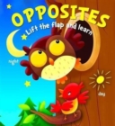 Image for Lift the Flap and Learn: Opposites