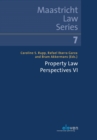 Image for Property Law Perspectives VI
